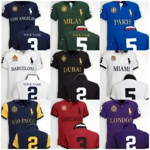 Ralph Lauren City Edition Custom Polo Shirt Multicolor