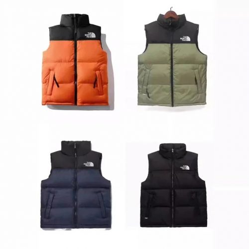 The North Face TNF Nuptse 700 Puffer Vest Multicolor