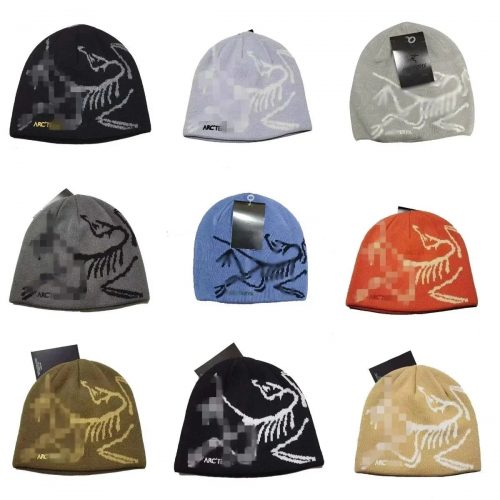Arc'teryx Fossil Graphic Knit Beanie Multicolor