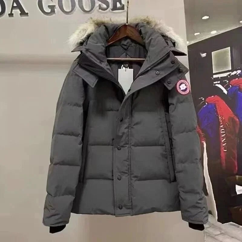 Canada Goose-2 Canada Goose-2