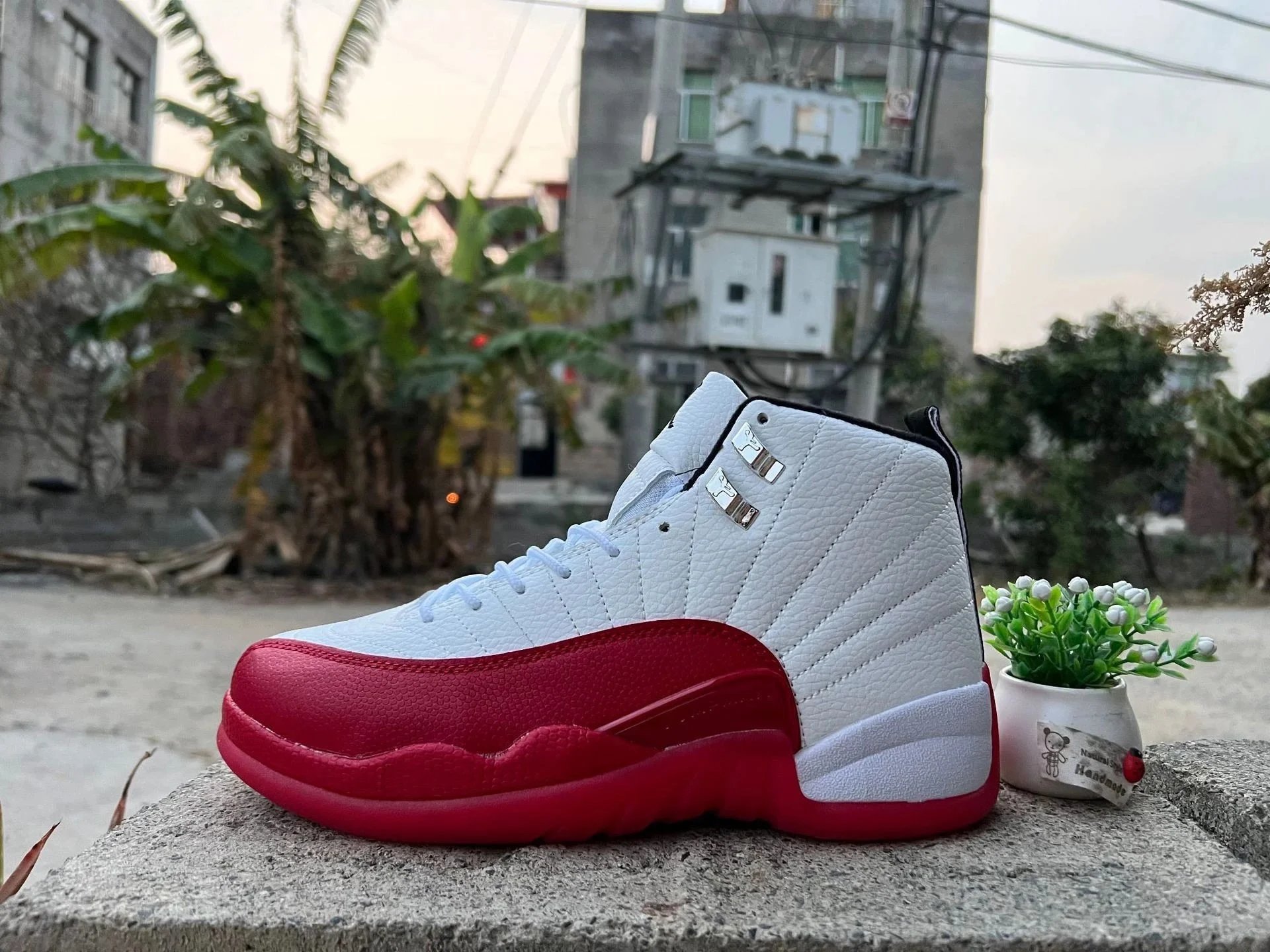AJ12-新白红 AJ12-新白红