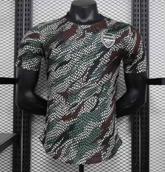 阿森纳特别版 阿森纳特别版