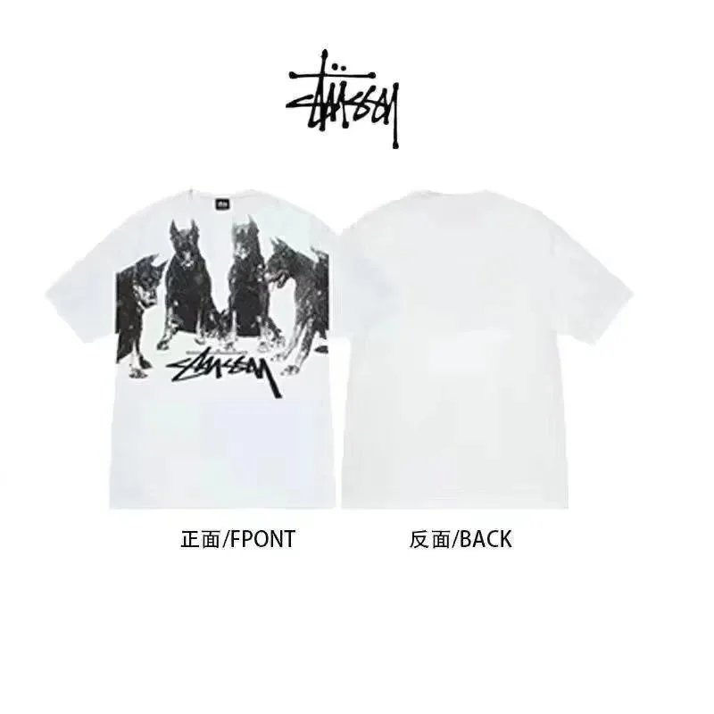 31 31