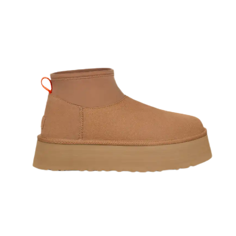 6 6