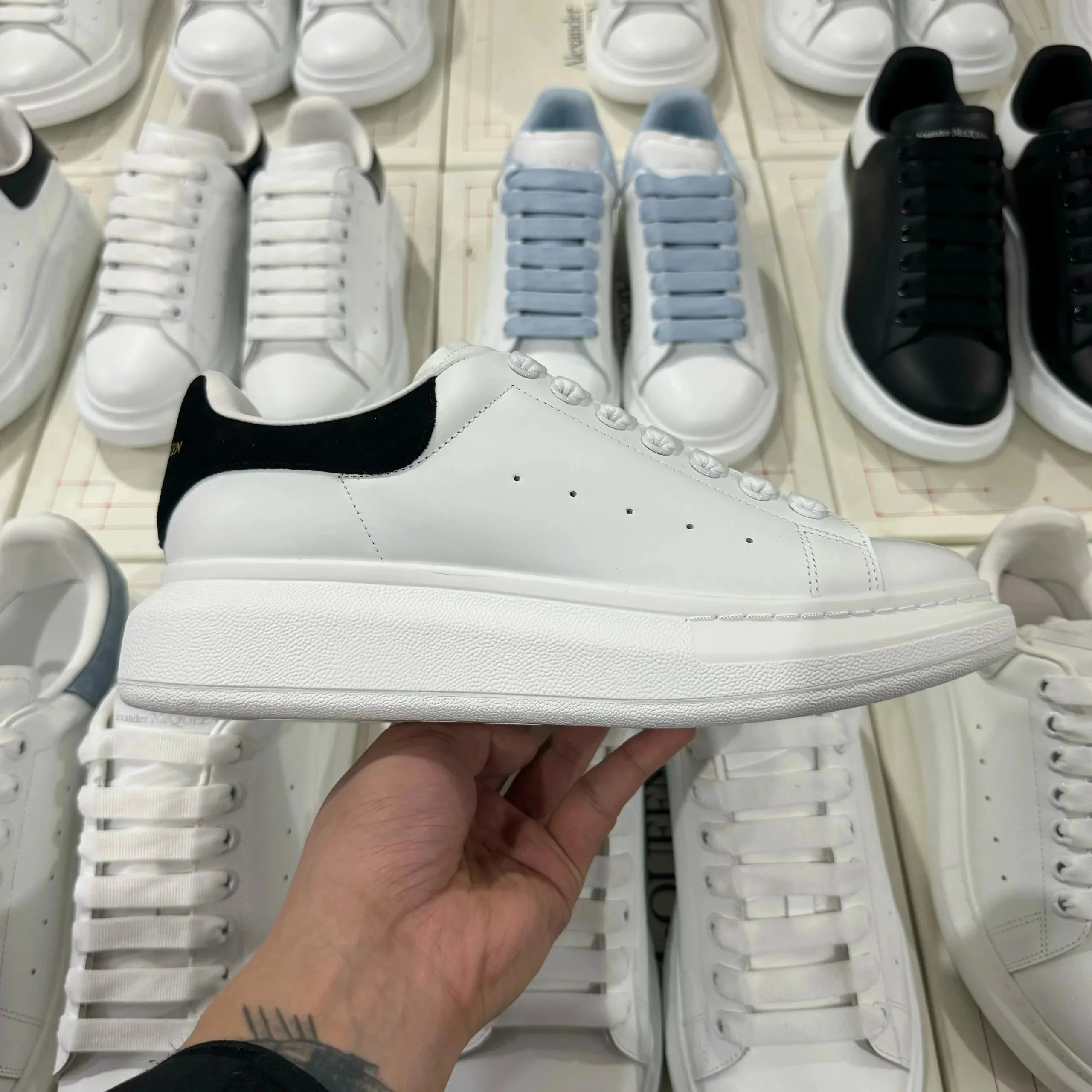 黑绒尾 黑绒尾