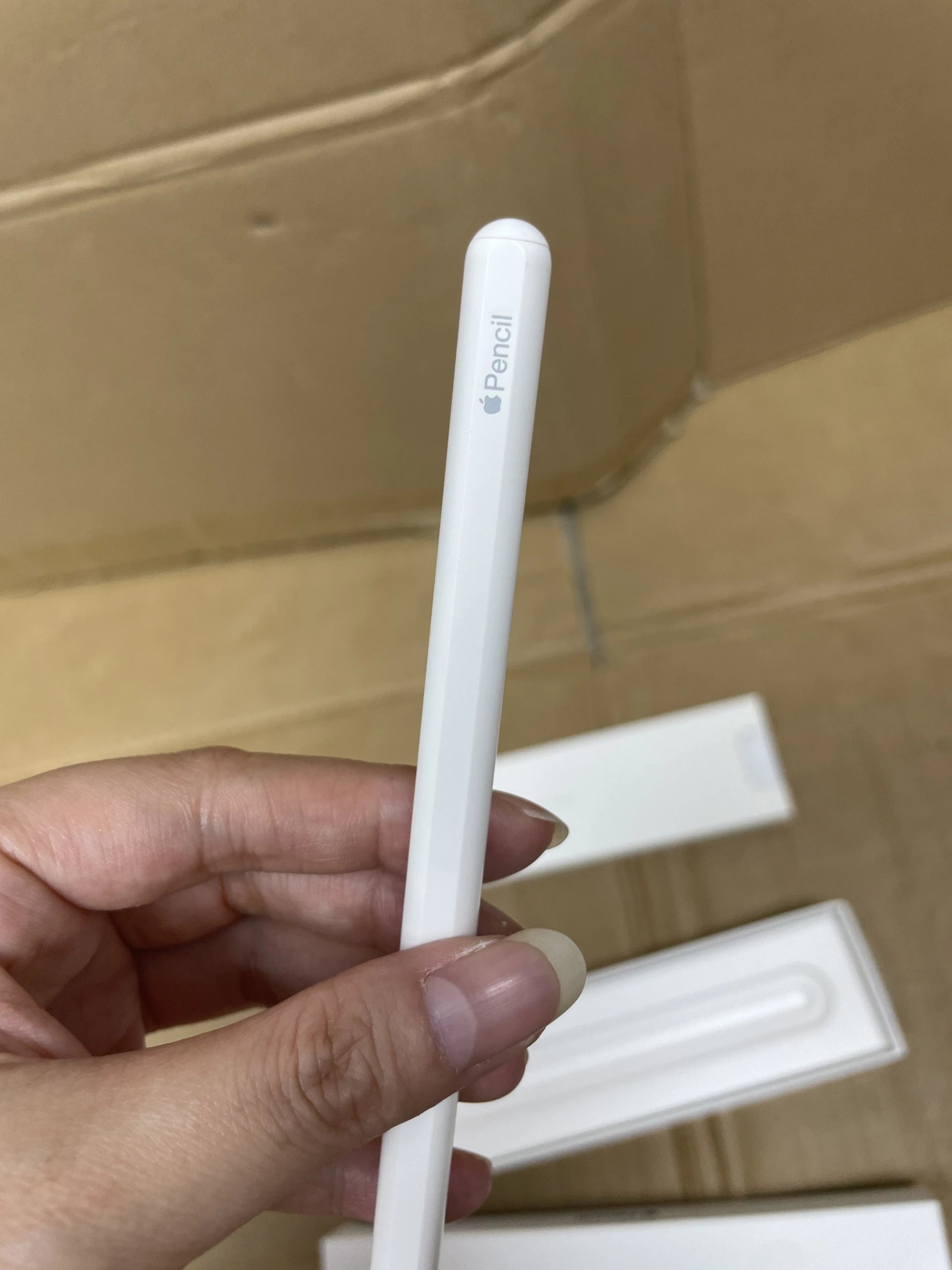 pencil2nd