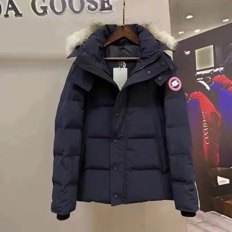29藏青色红标毛领