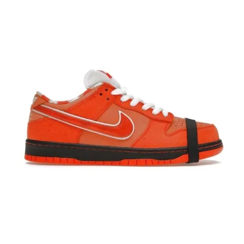 Orange FD8776-800