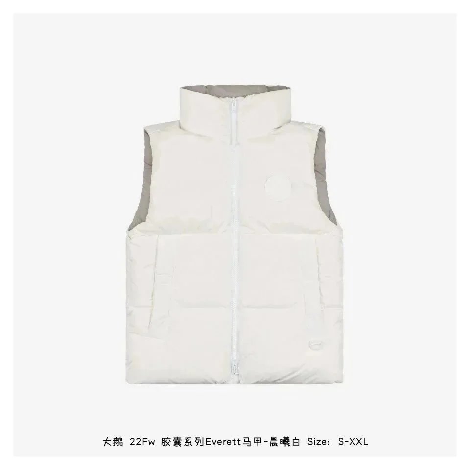 Goose14