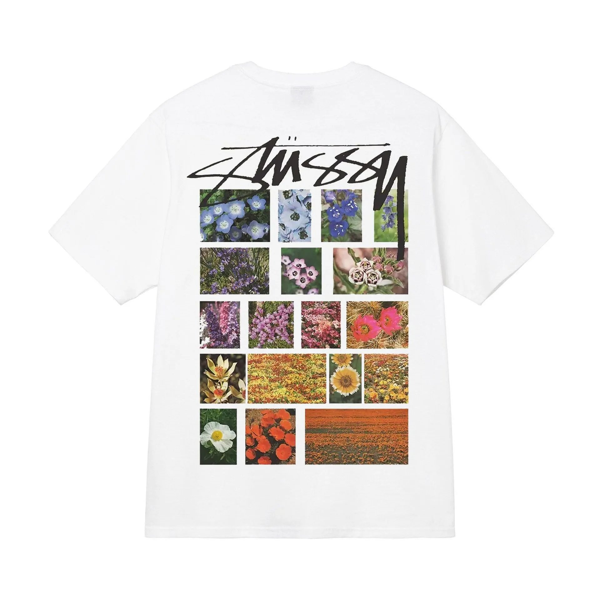 白色【花草】