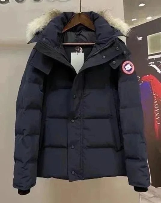 大鹅3