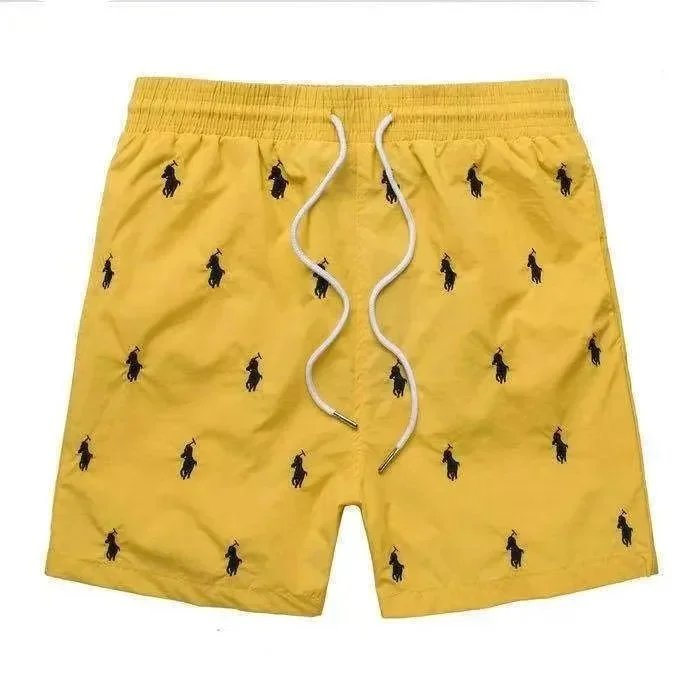 31 31