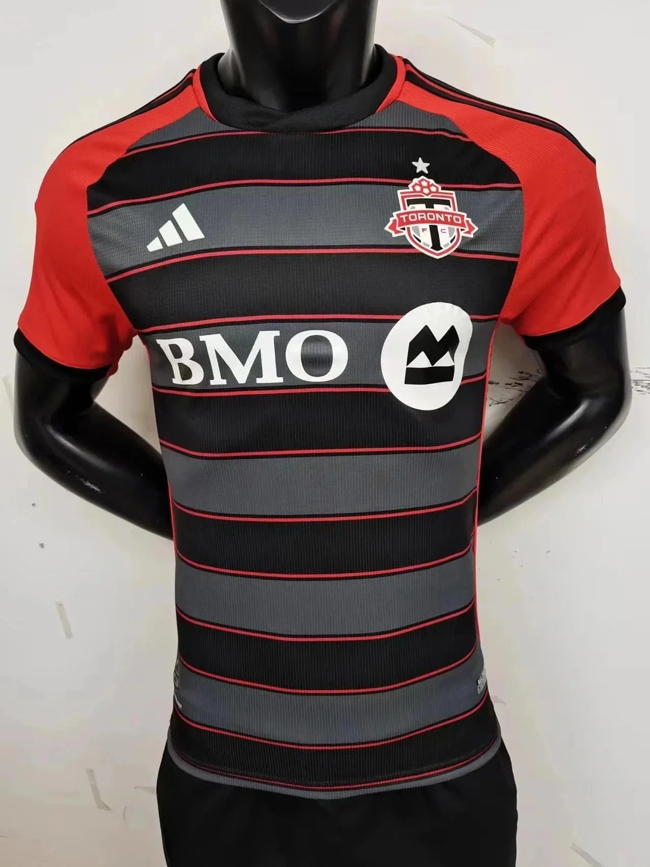 2324多伦多主场 2324多伦多主场