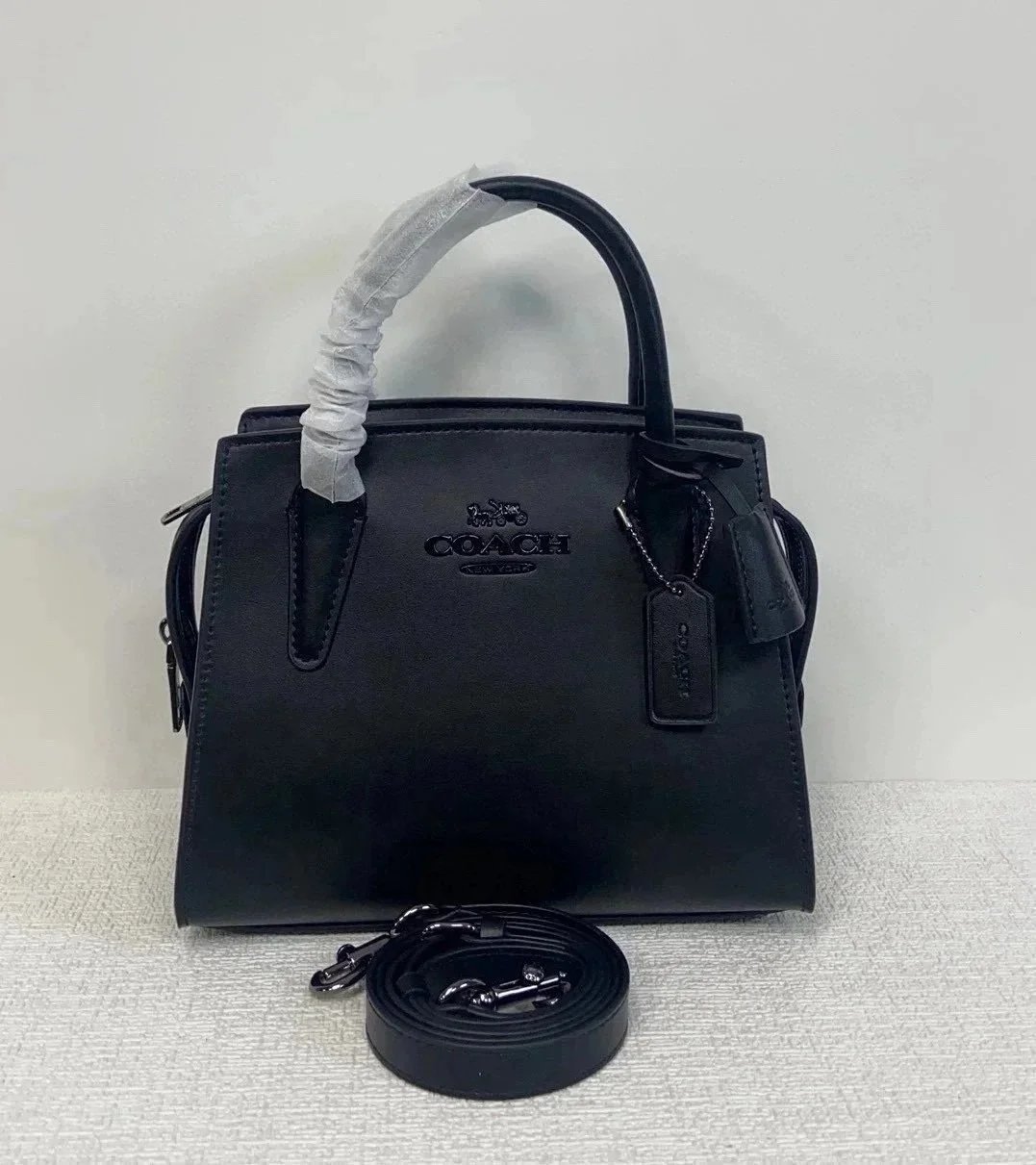 CP081-1 CP081-1