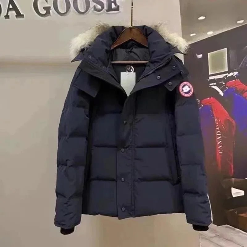 藏青色 藏青色