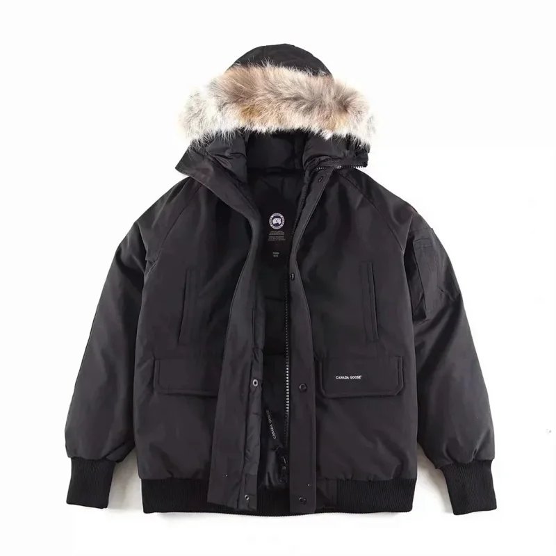 26 26