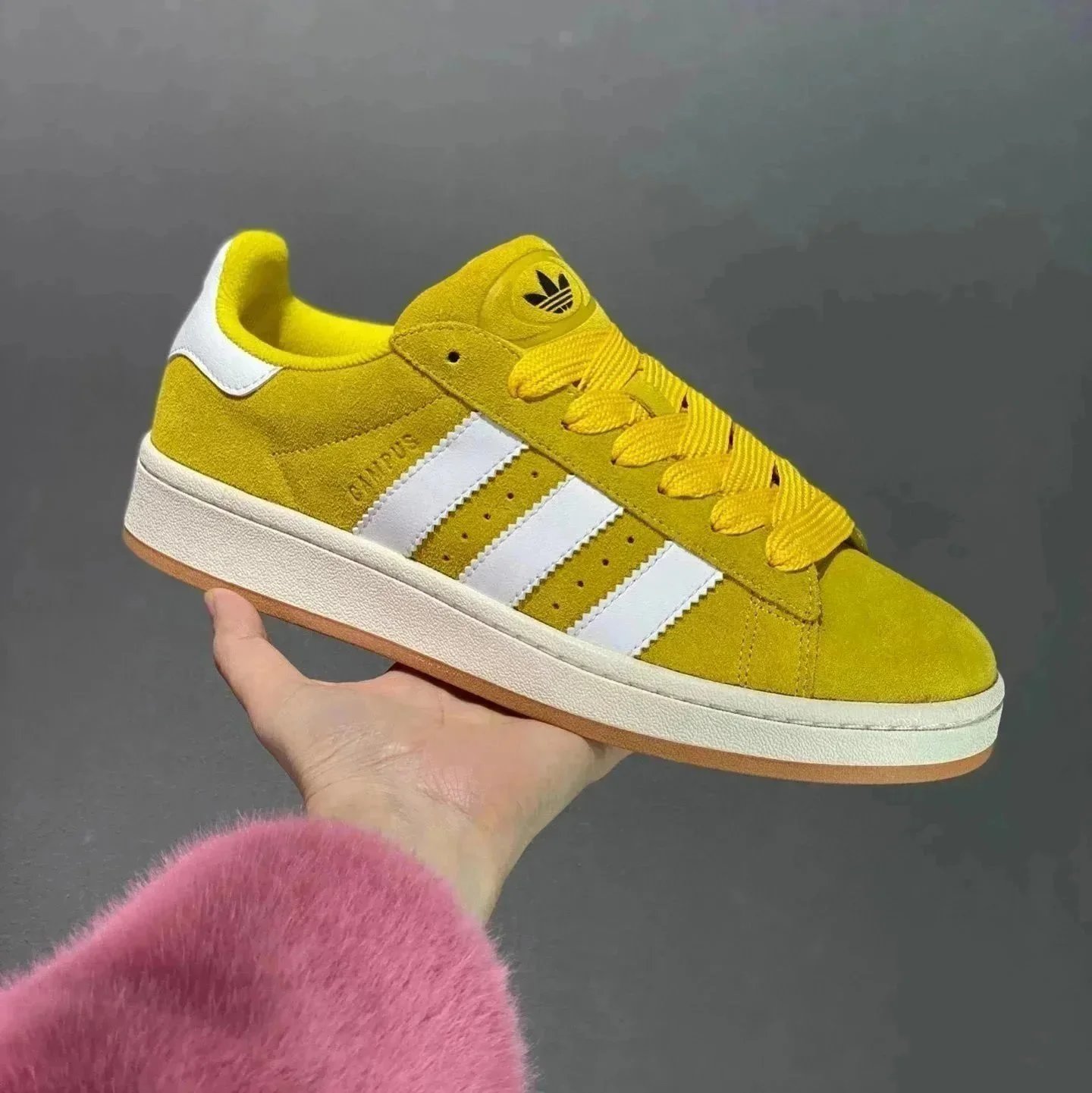 姜黄 姜黄