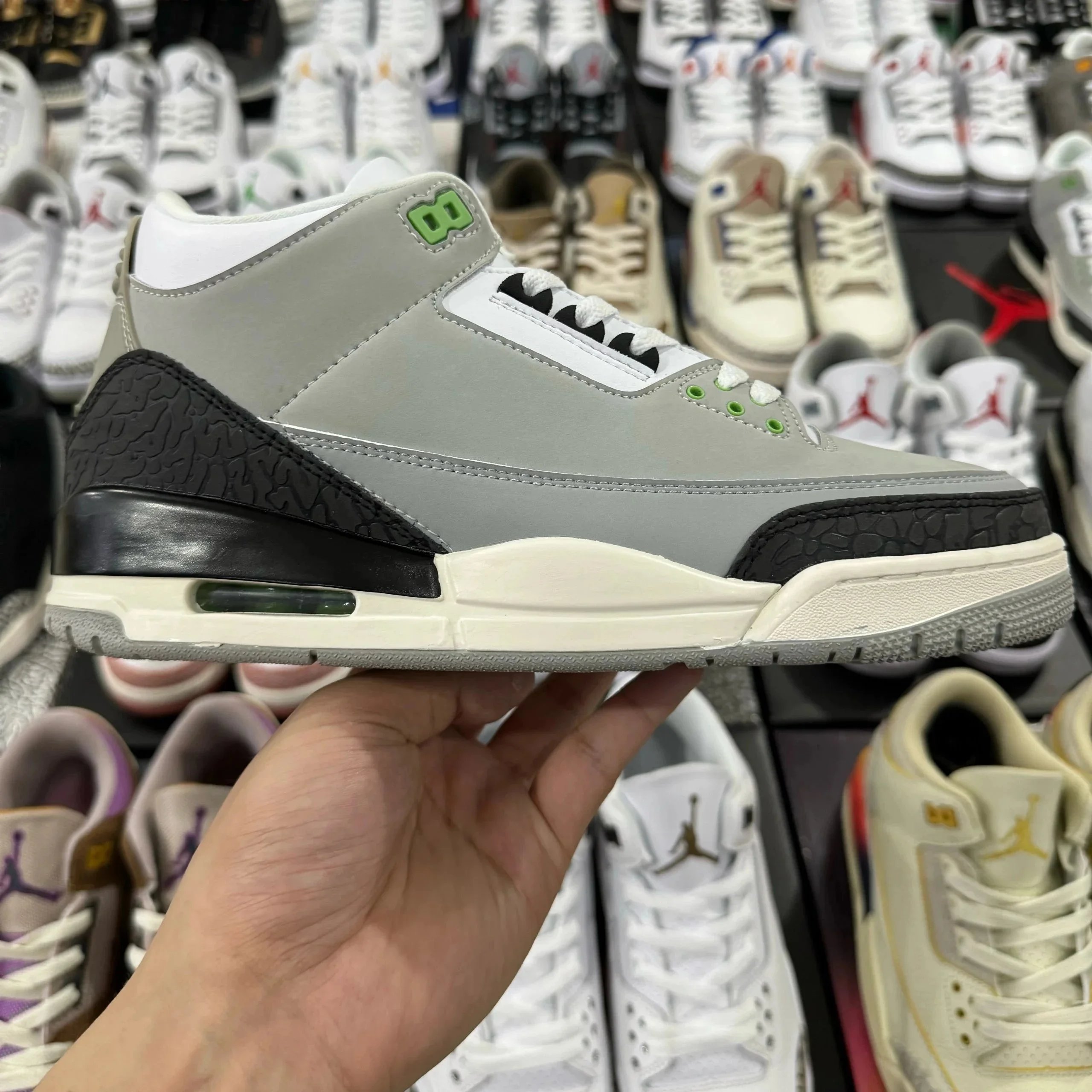 叶绿素 叶绿素