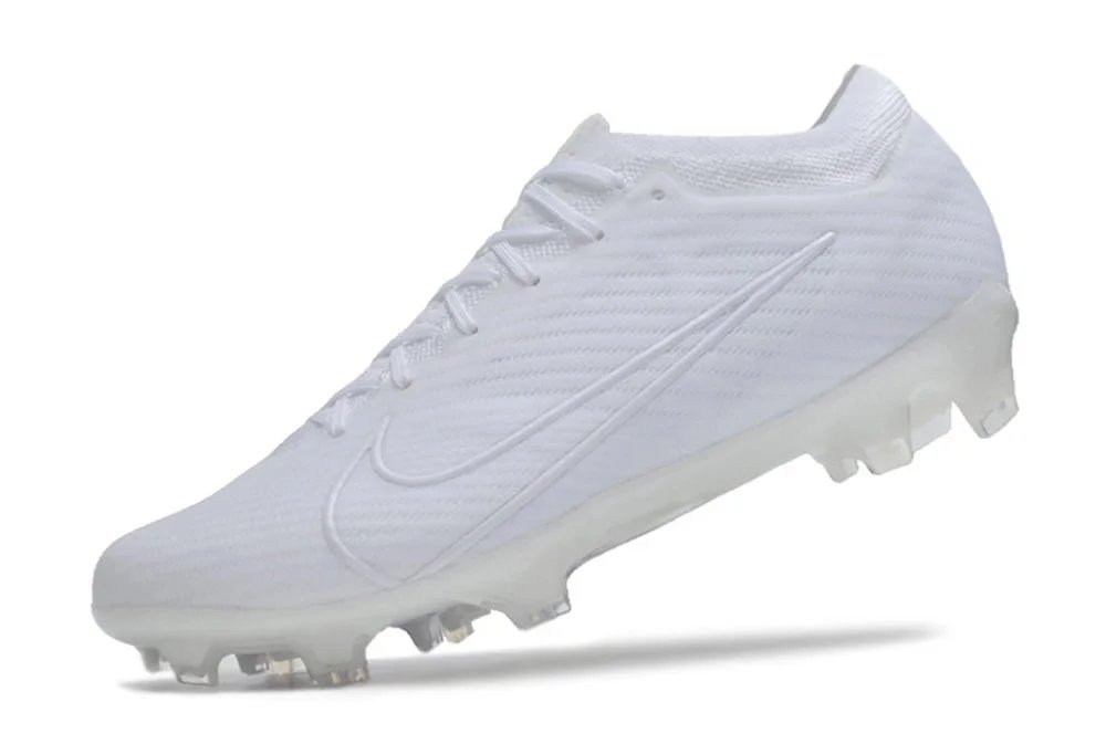 31 31